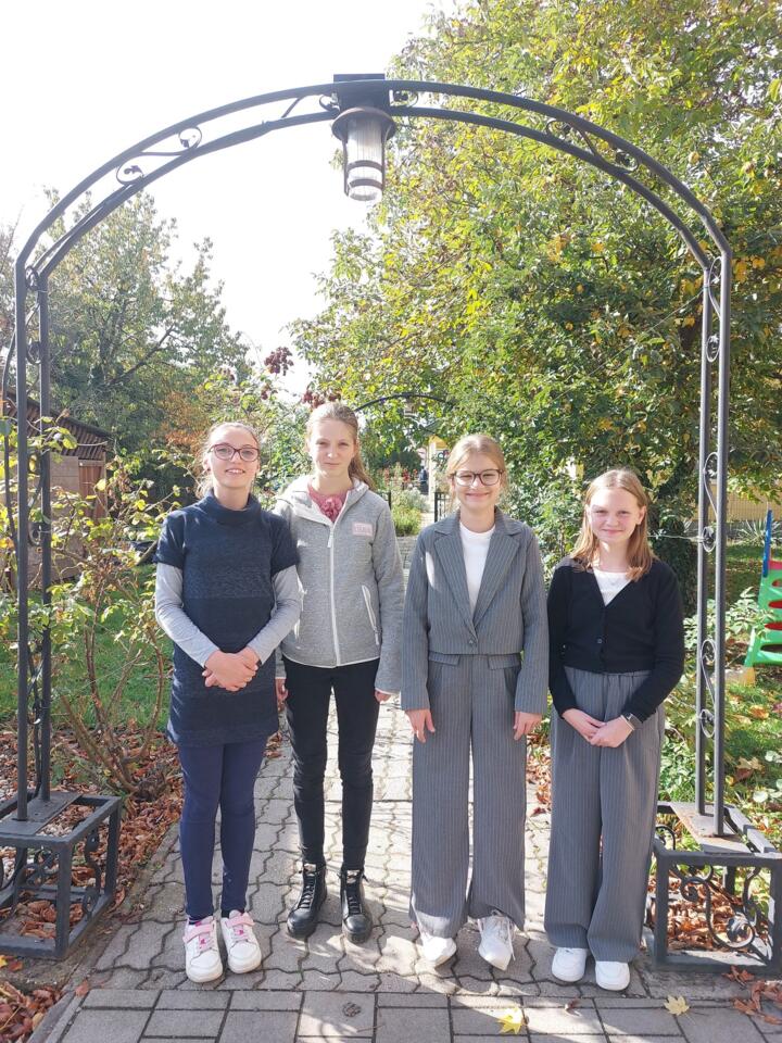 Remnyik napi vetlked (2025)