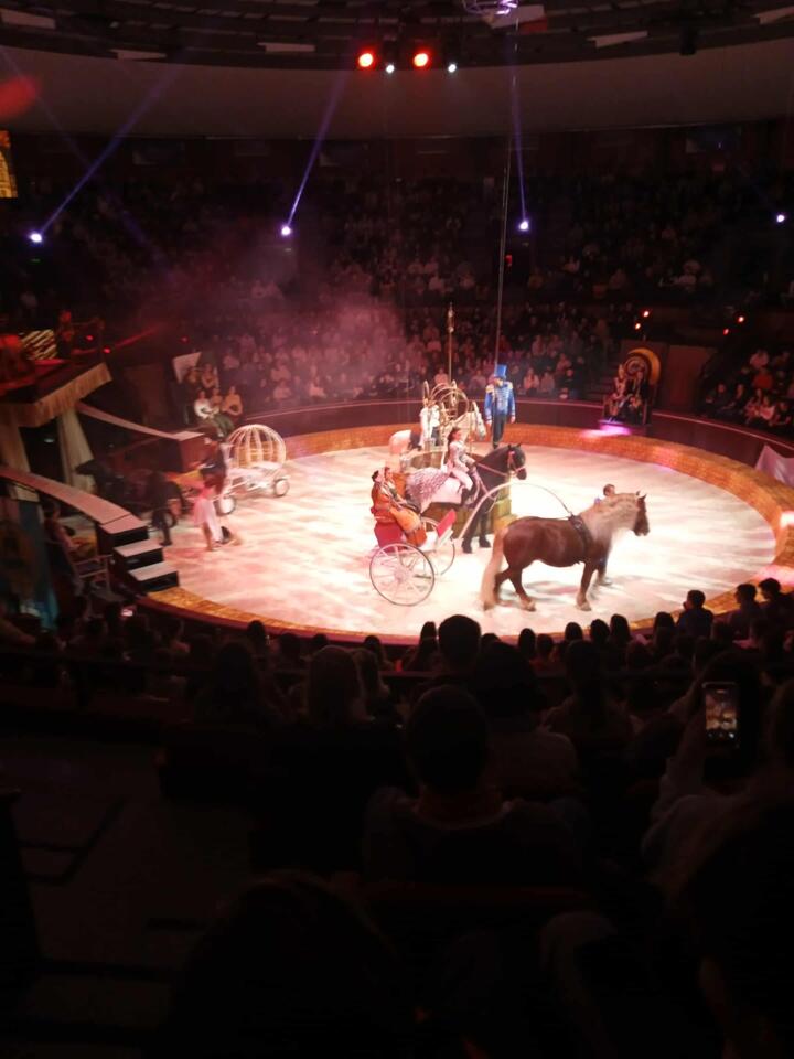 A Fővárosi Nagycirkuszban jártunk A Fővárosi Nagycirkuszban jártunk